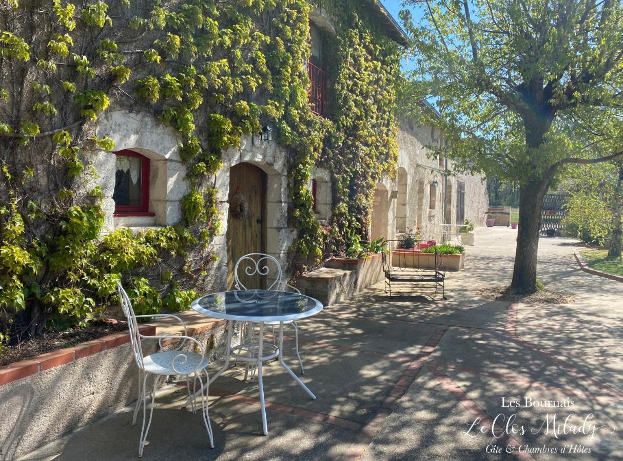 Chambres D'Hotes Les Bournais - Le Clos Milady L'Ile-Bouchard Kültér fotó
