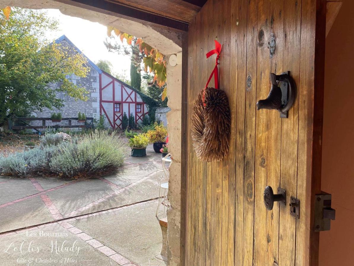 Chambres D'Hotes Les Bournais - Le Clos Milady L'Ile-Bouchard Kültér fotó