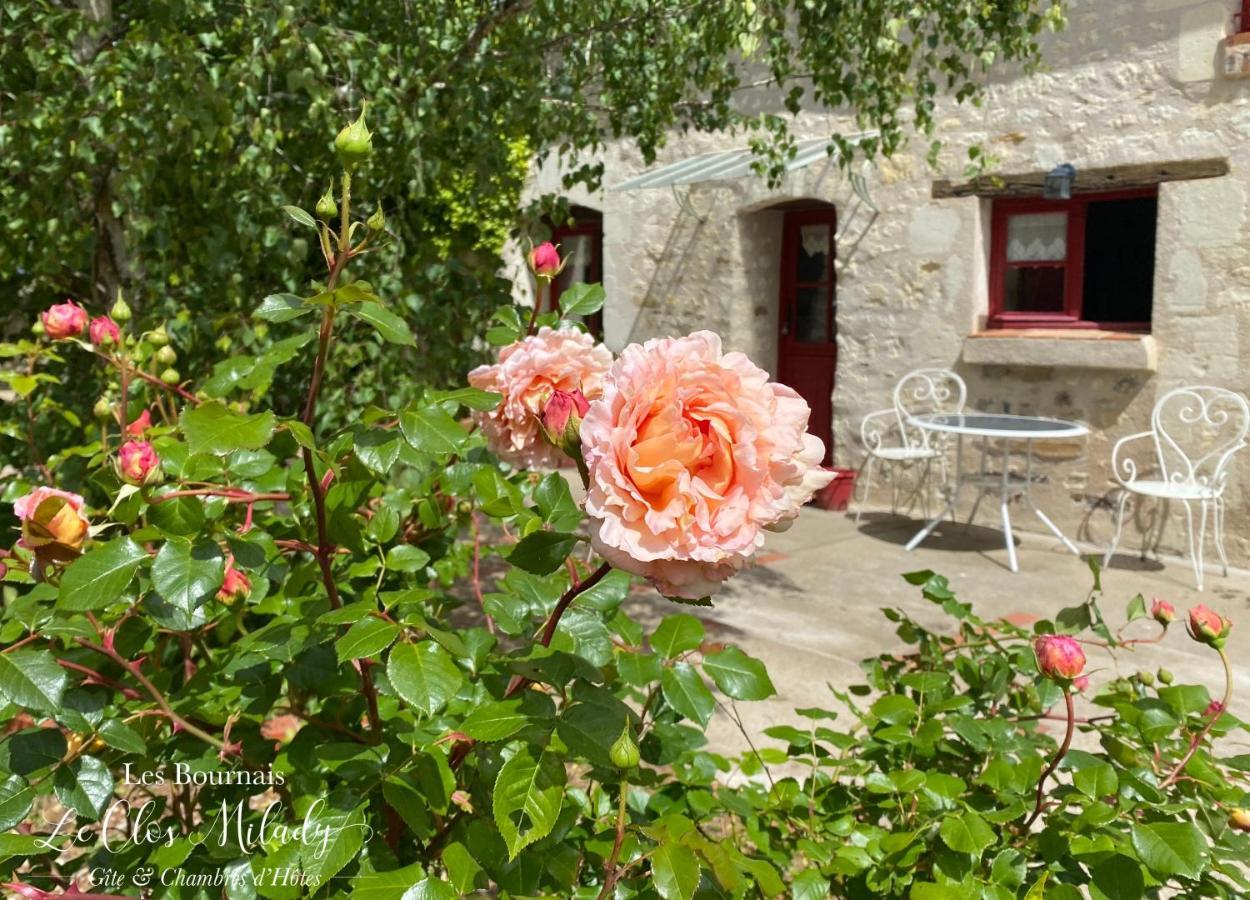 Chambres D'Hotes Les Bournais - Le Clos Milady L'Ile-Bouchard Kültér fotó