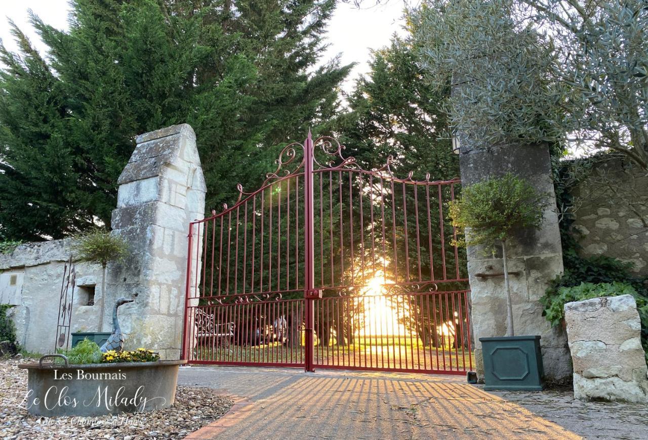 Chambres D'Hotes Les Bournais - Le Clos Milady L'Ile-Bouchard Kültér fotó