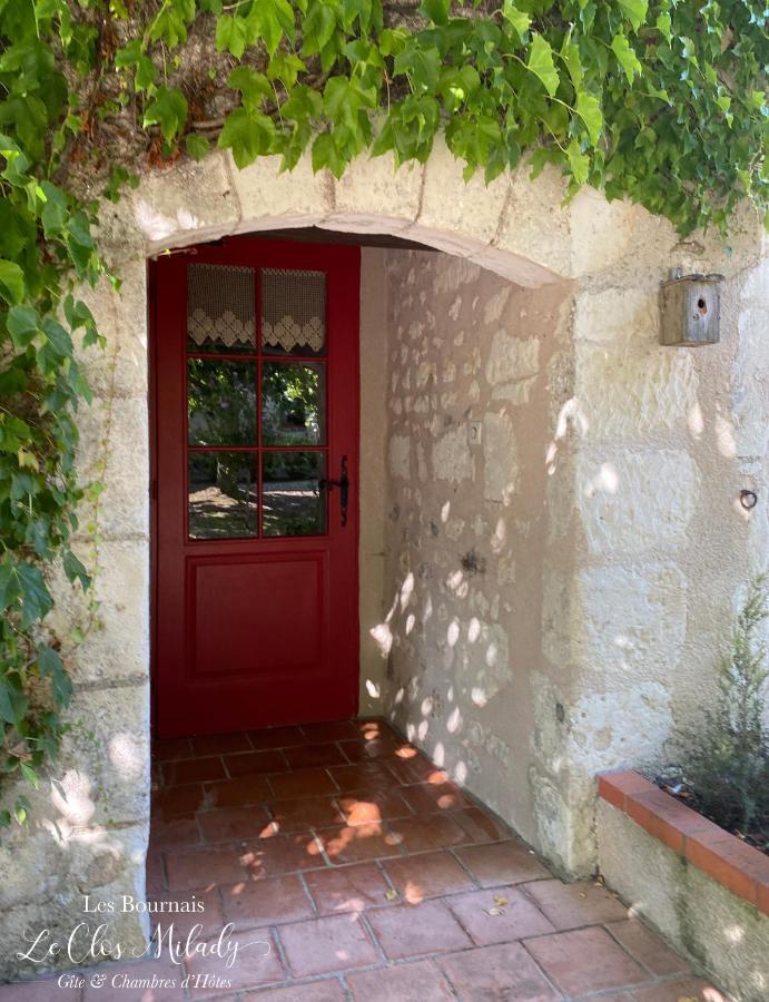 Chambres D'Hotes Les Bournais - Le Clos Milady L'Ile-Bouchard Kültér fotó