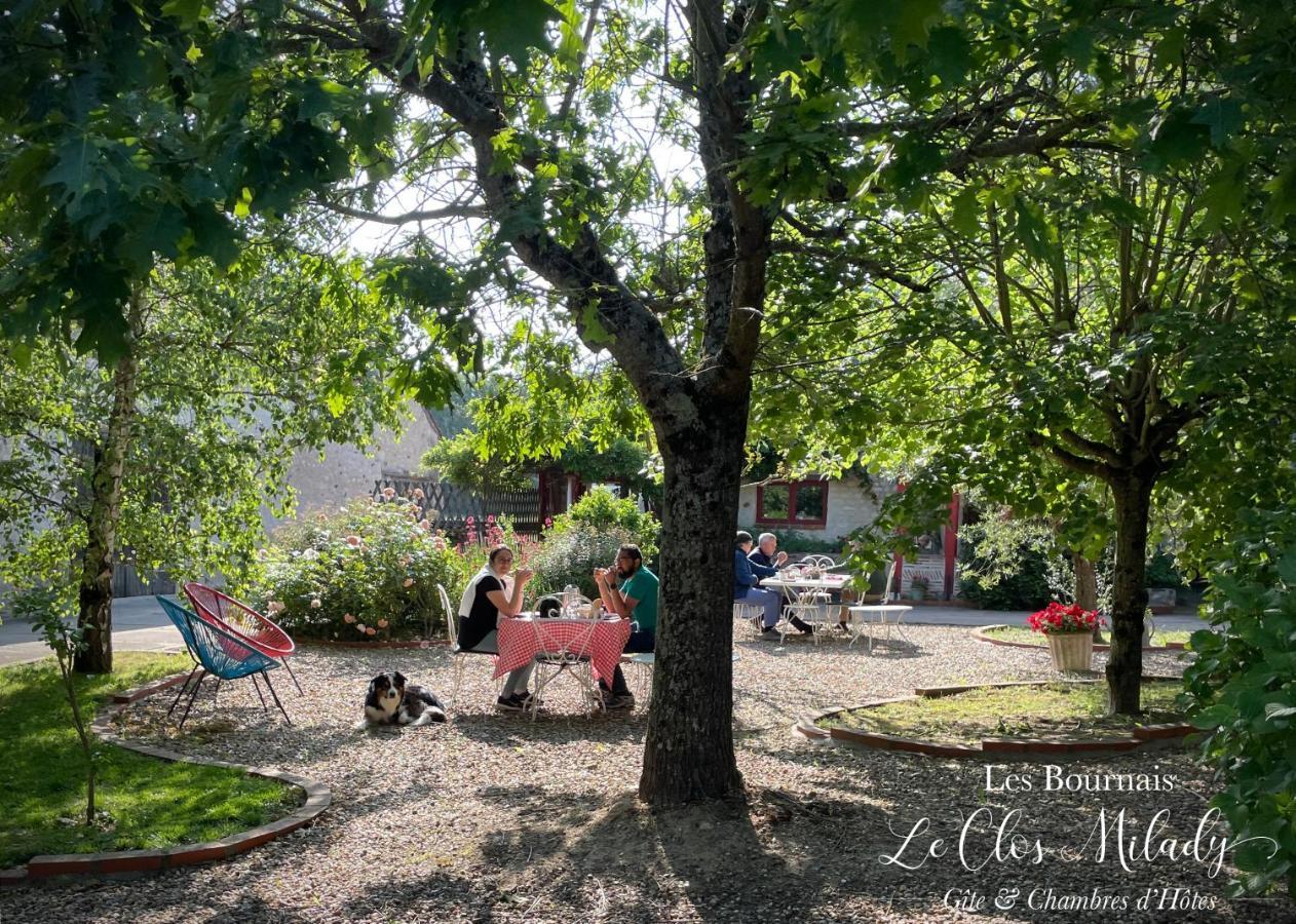 Chambres D'Hotes Les Bournais - Le Clos Milady L'Ile-Bouchard Kültér fotó