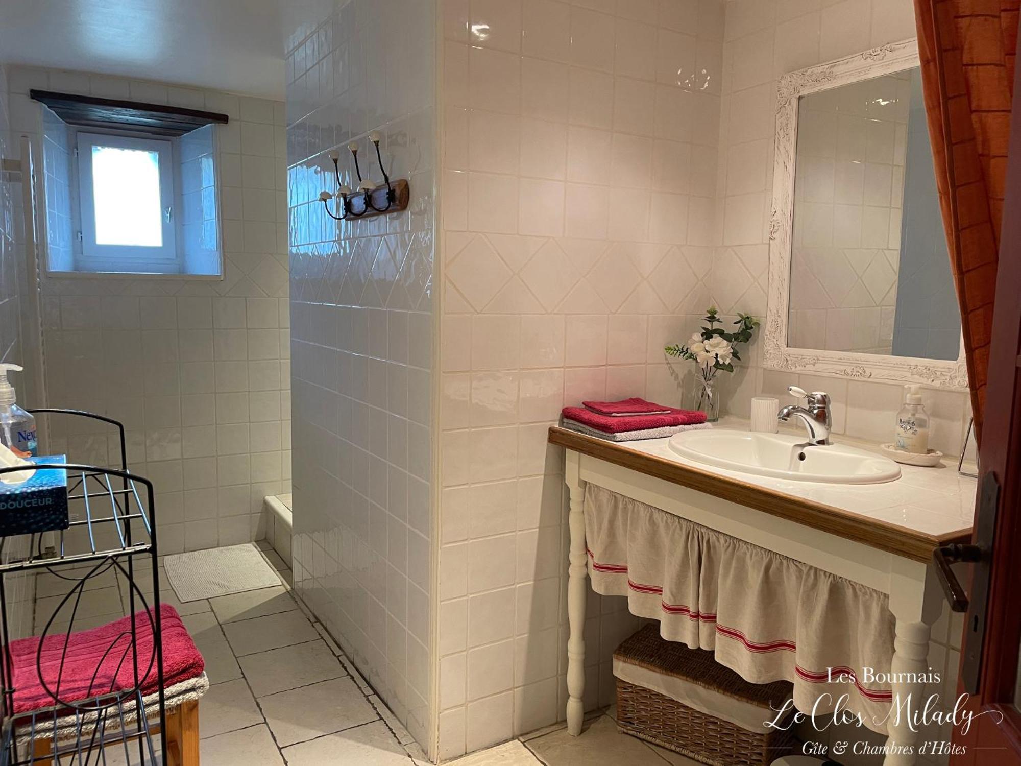 Chambres D'Hotes Les Bournais - Le Clos Milady L'Ile-Bouchard Kültér fotó
